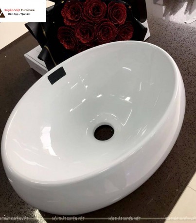 Chậu rửa lavabo đặt bàn hình elip tông màu trắng XVCE01
