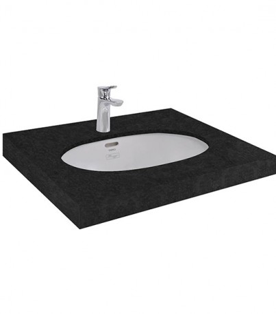 Chậu rửa âm bàn LT546